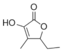 Organic Structure Example